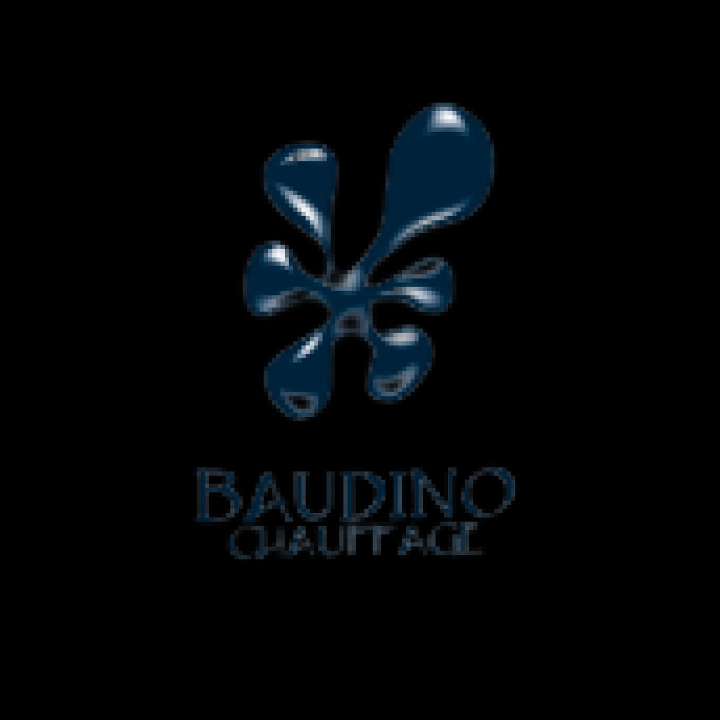 baudino_fa434e6ecb-resized.webp